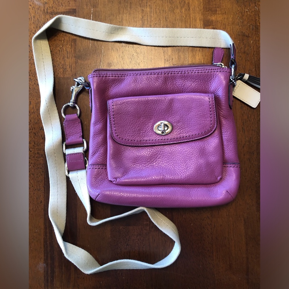 Coach Mini Bag GUC